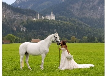Hochzeitskutsche in München in München