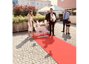 Hochzeitstauben München und Umgebung in München